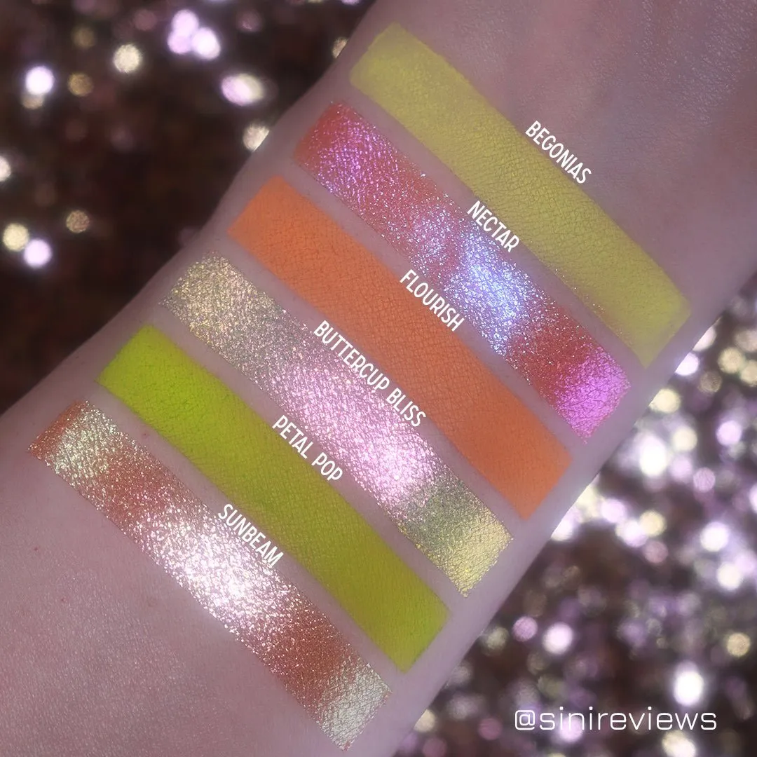 Flutter & Flourish Palette Duo
