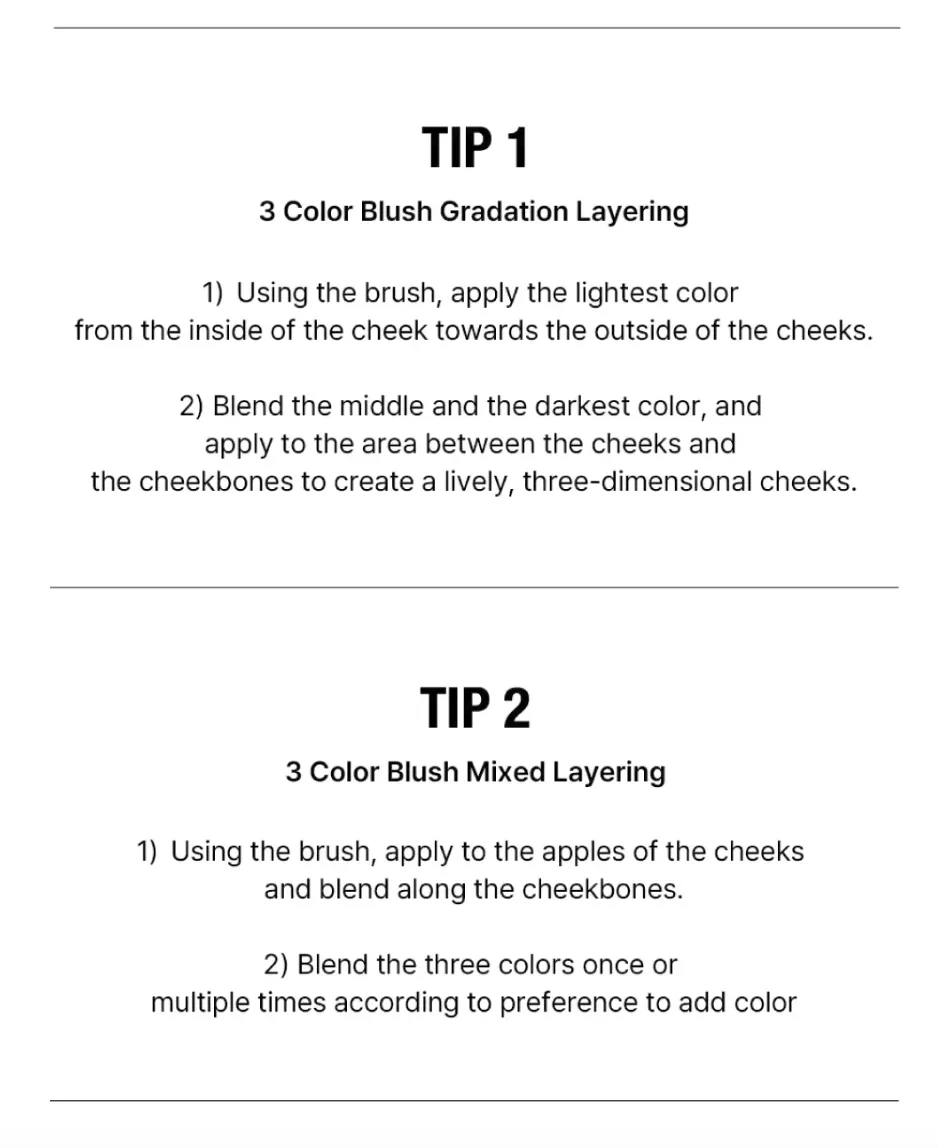 TOO COOL FOR SCHOOL Artclass By Rodin Blusher 9.5g - #De Ginger
