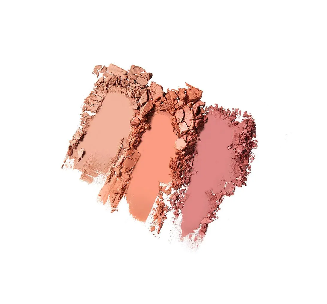 TOO COOL FOR SCHOOL Artclass By Rodin Blusher 9.5g - # De Rosee
